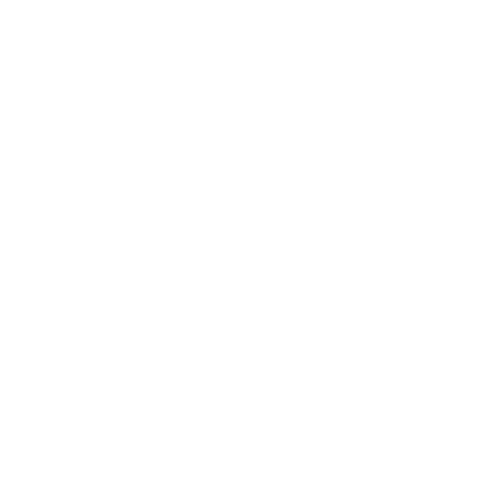 Your Vibes Entertainment